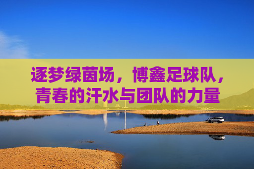 逐梦绿茵场，博鑫足球队，青春的汗水与团队的力量