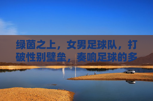 绿茵之上，女男足球队，打破性别壁垒，奏响足球的多元乐章
