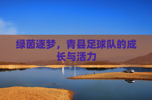 绿茵逐梦,青县足球队的成长与活力