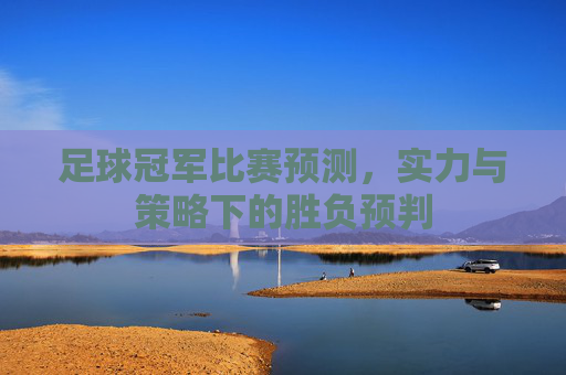 足球冠军比赛预测,实力与策略下的胜负预判