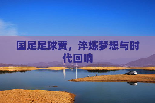 国足足球贾,淬炼梦想与时代回响