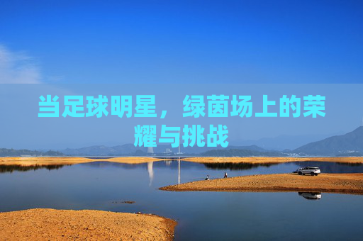 当足球明星，绿茵场上的荣耀与挑战