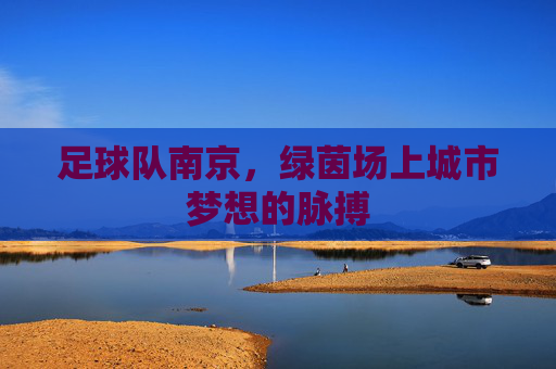 足球队南京，绿茵场上城市梦想的脉搏