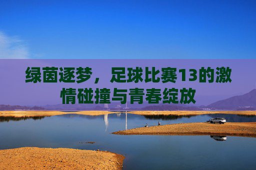 绿茵逐梦,足球比赛13的激情碰撞与青春绽放
