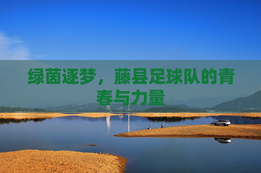 绿茵逐梦,藤县足球队的青春与力量