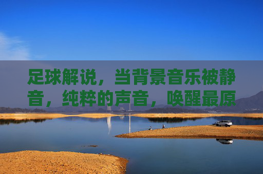 足球解说,当背景音乐被静音,纯粹的声音,唤醒最原始的激情与共鸣