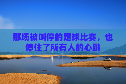 那场被叫停的足球比赛，也停住了所有人的心跳