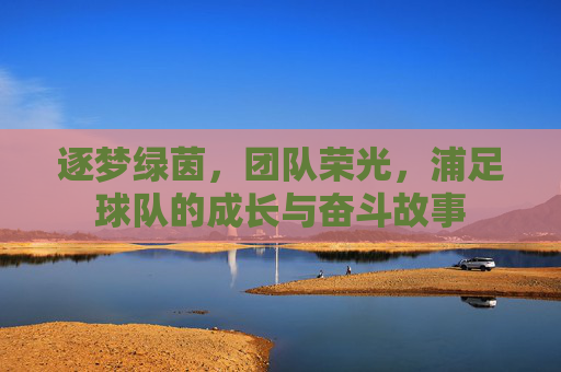 逐梦绿茵，团队荣光，浦足球队的成长与奋斗故事