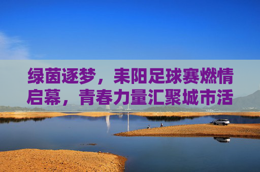 绿茵逐梦,耒阳足球赛燃情启幕,青春力量汇聚城市活力