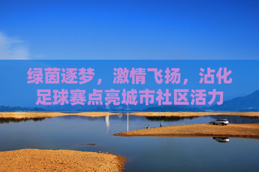 绿茵逐梦,激情飞扬,沾化足球赛点亮城市社区活力