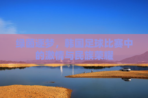 绿茵逐梦，韩国足球比赛中的激情与民族荣耀
