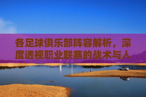 各足球俱乐部阵容解析，深度透视职业联赛的战术与人才布局，各足球俱乐部阵容解析，深度透视职业联赛的战术与人才布局