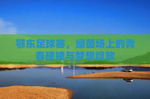 鄂东足球赛，绿茵场上的青春碰撞与梦想绽放