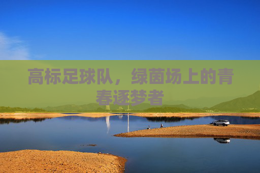 高标足球队,绿茵场上的青春逐梦者