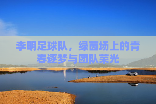 李明足球队,绿茵场上的青春逐梦与团队荣光