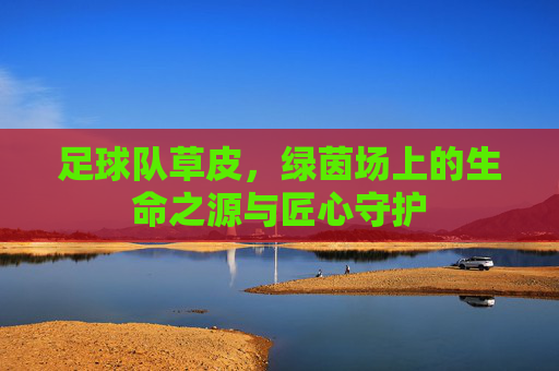 足球队草皮,绿茵场上的生命之源与匠心守护