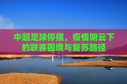 中超足球停摆,疫情阴云下的联赛困境与复苏路径
