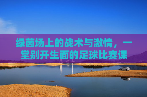 绿茵场上的战术与激情，一堂别开生面的足球比赛课