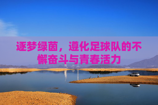 逐梦绿茵，遵化足球队的不懈奋斗与青春活力