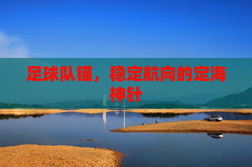 足球队锚，稳定航向的定海神针
