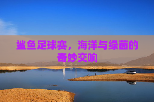 鲨鱼足球赛,海洋与绿茵的奇妙交响