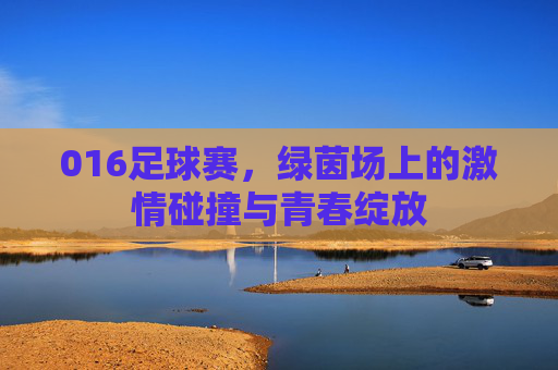 016足球赛，绿茵场上的激情碰撞与青春绽放