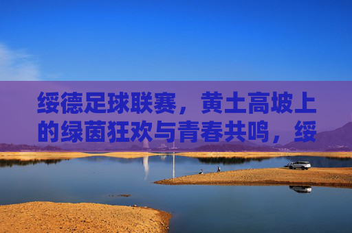 绥德足球联赛,黄土高坡上的绿茵狂欢与青春共鸣,绥德足球联赛,黄土高坡上的绿茵狂欢与青春共鸣