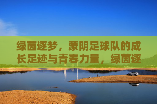 绿茵逐梦,蒙阴足球队的成长足迹与青春力量,绿茵逐梦,蒙阴足球队的成长足迹与青春力量