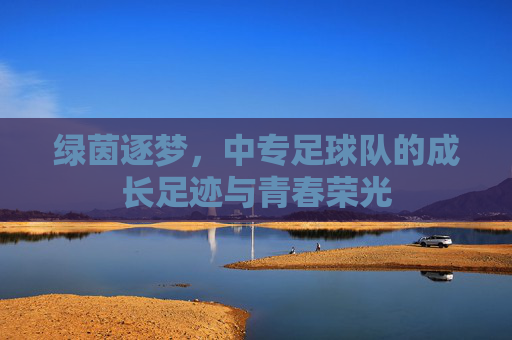 绿茵逐梦，中专足球队的成长足迹与青春荣光