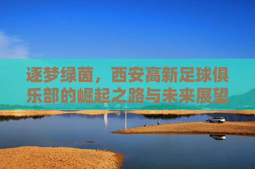 逐梦绿茵,西安高新足球俱乐部的崛起之路与未来展望,逐梦绿茵,西安高新足球俱乐部的崛起之路与未来展望