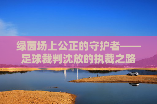 绿茵场上公正的守护者——足球裁判沈放的执裁之路