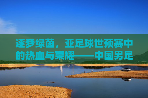 逐梦绿茵,亚足球世预赛中的热血与荣耀——中国男足的征途与挑战
