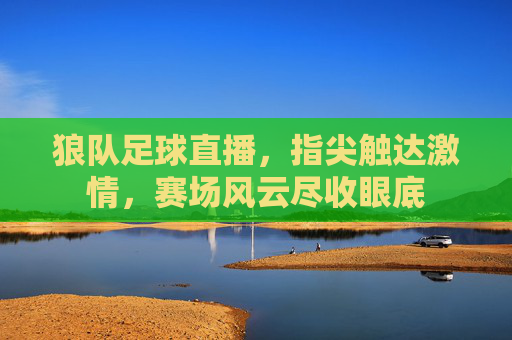 狼队足球直播，指尖触达激情，赛场风云尽收眼底