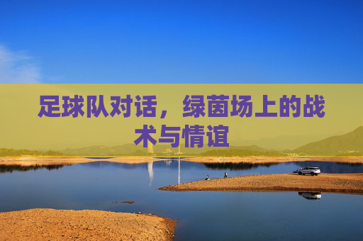 足球队对话，绿茵场上的战术与情谊