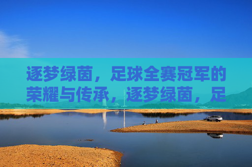 逐梦绿茵，足球全赛冠军的荣耀与传承，逐梦绿茵，足球全赛冠军的荣耀与传承