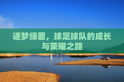 逐梦绿茵,球足球队的成长与荣耀之路