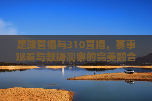 足球直播与310直播，赛事观看与数据洞察的完美融合，足球直播与310直播，赛事观看与数据洞察的完美融合