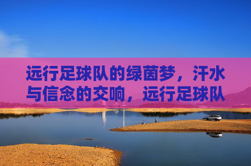 远行足球队的绿茵梦,汗水与信念的交响,远行足球队的绿茵梦,汗水与信念的交响