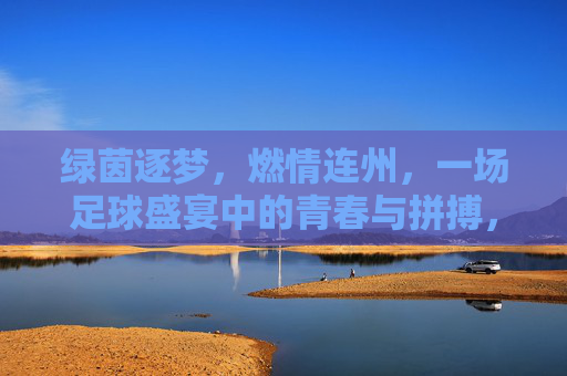 绿茵逐梦，燃情连州，一场足球盛宴中的青春与拼搏，绿茵逐梦，燃情连州，一场足球盛宴中的青春与拼搏