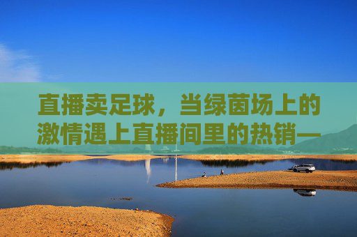 直播卖足球,当绿茵场上的激情遇上直播间里的热销——揭秘足球商品直播的崛起与机遇,直播卖足球,当绿茵场上的激情遇上直播间里的热销——揭秘足球商品直播的崛起与机遇