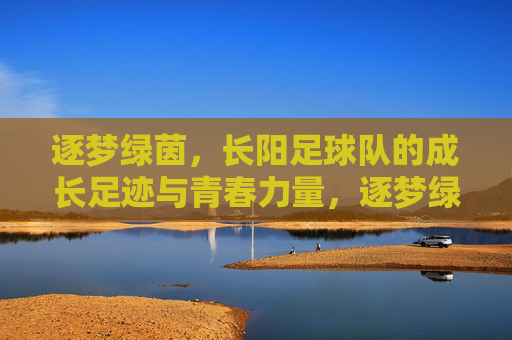 逐梦绿茵,长阳足球队的成长足迹与青春力量,逐梦绿茵,长阳足球队的成长足迹与青春力量