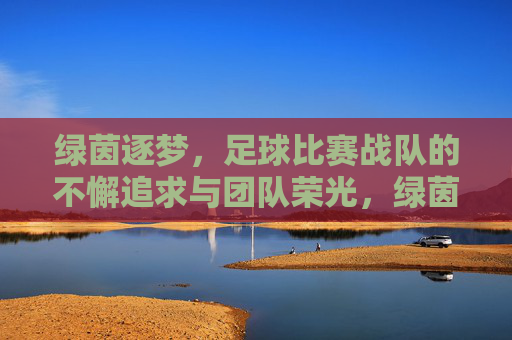 绿茵逐梦，足球比赛战队的不懈追求与团队荣光，绿茵逐梦，足球比赛战队的不懈追求与团队荣光