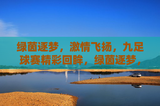 绿茵逐梦,激情飞扬,九足球赛精彩回眸,绿茵逐梦,激情飞扬,九足球赛精彩回眸