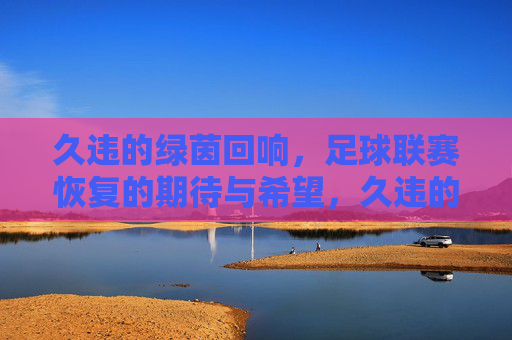 久违的绿茵回响,足球联赛恢复的期待与希望,久违的绿茵回响,足球联赛恢复的期待与希望