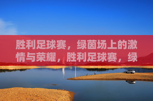 胜利足球赛，绿茵场上的激情与荣耀，胜利足球赛，绿茵场上的激情与荣耀