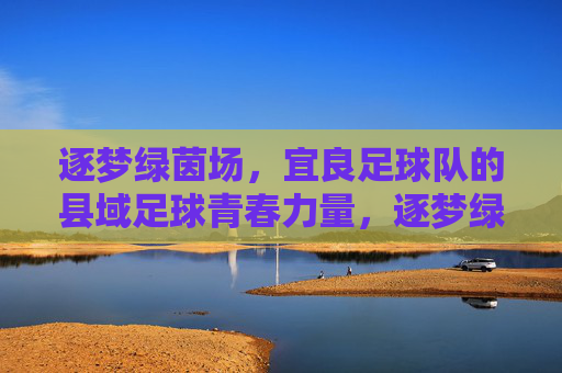 逐梦绿茵场，宜良足球队的县域足球青春力量，逐梦绿茵场，宜良足球队的县域足球青春力量