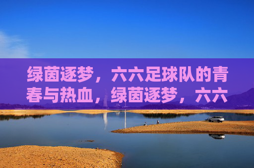 绿茵逐梦,六六足球队的青春与热血,绿茵逐梦,六六足球队的青春与热血