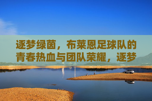 逐梦绿茵，布莱恩足球队的青春热血与团队荣耀，逐梦绿茵，布莱恩足球队的青春热血与团队荣耀
