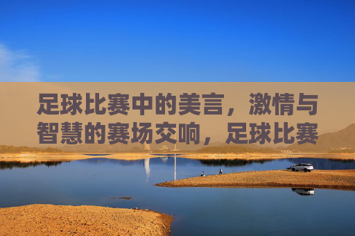 足球比赛中的美言，激情与智慧的赛场交响，足球比赛中的美言，激情与智慧的赛场交响