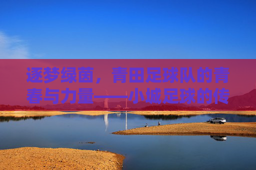 逐梦绿茵,青田足球队的青春与力量——小城足球的传承与绽放,逐梦绿茵,青田足球队的青春与力量——小城足球的传承与绽放